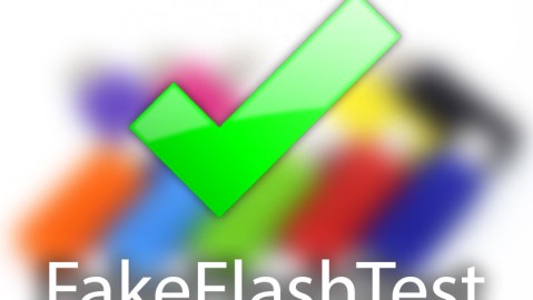FakeFlashTest
