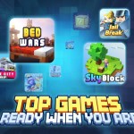 صور Blockman GO