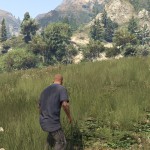 صور Script Hook V