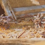 صور ARK: Survival Ascended