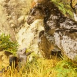 صور ARK: Survival Ascended
