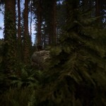 صور Sons Of The Forest