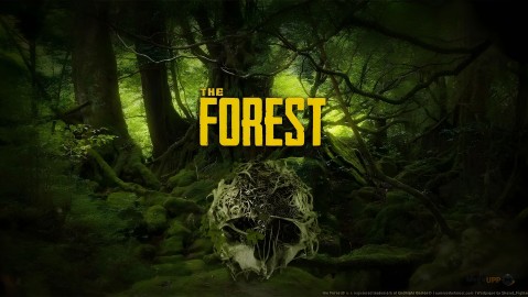 The Forest