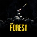 the forest