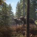 صور theHunter: Call of the Wild™