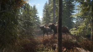 thehunter call of the wild للكمبيوتر