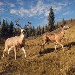 صور theHunter: Call of the Wild™