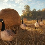 صور theHunter: Call of the Wild™