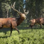 صور theHunter: Call of the Wild™