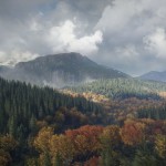 صور theHunter: Call of the Wild™