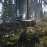 صور theHunter: Call of the Wild™