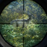 صور theHunter: Call of the Wild™