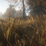 صور theHunter: Call of the Wild™