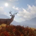 صور theHunter: Call of the Wild™