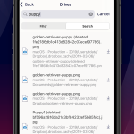 صور BackBlaze
