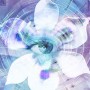 Blue Iris For Android