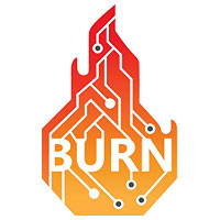 burnintest professional