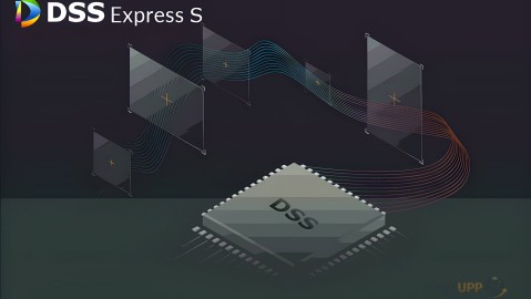 DSS Express