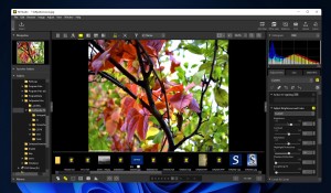 nikon nx studio للكمبيوتر