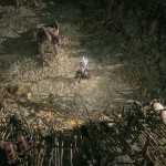 صور Path of Exile 2