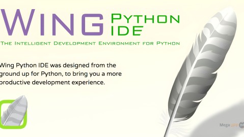 Wing IDE