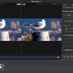صور Winxvideo AI