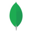 mongodb compass