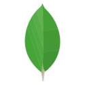 mongodb
