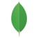 برنامج قواعد البيانات ( مونجو دي بي ) MongoDB