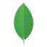 mongodb