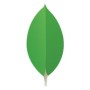 mongodb