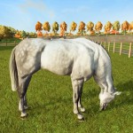 صور My Horse Herd Care Simulator