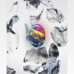 صور Opal: Screen Time Control