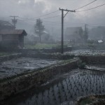 صور SILENT HILL f