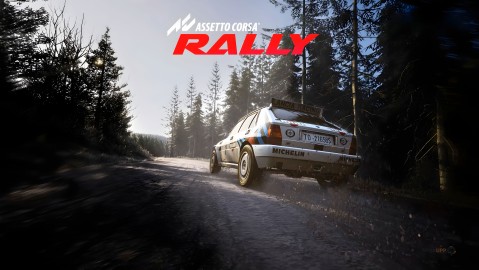 Assetto Corsa Rally