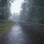 صور Assetto Corsa Rally