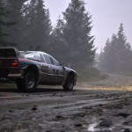 صور Assetto Corsa Rally