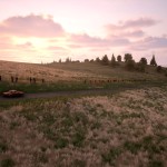 صور Assetto Corsa Rally