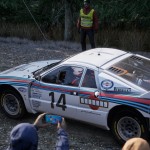 صور Assetto Corsa Rally