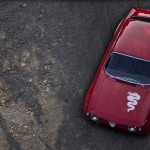 صور Assetto Corsa Rally
