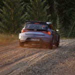صور Assetto Corsa Rally