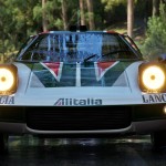 صور Assetto Corsa Rally