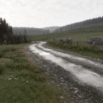صور Assetto Corsa Rally
