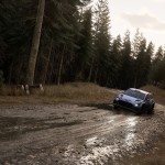 صور Assetto Corsa Rally