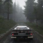 صور Assetto Corsa Rally