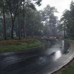 صور Assetto Corsa Rally