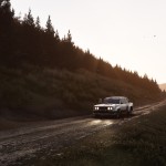 صور Assetto Corsa Rally