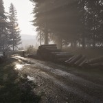 صور Assetto Corsa Rally