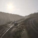 صور Assetto Corsa Rally