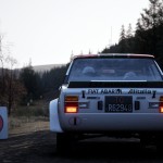 صور Assetto Corsa Rally